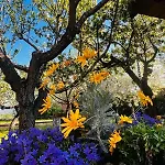 Sole E Luna Bed & Breakfast