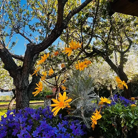Sole E Luna Bed & Breakfast