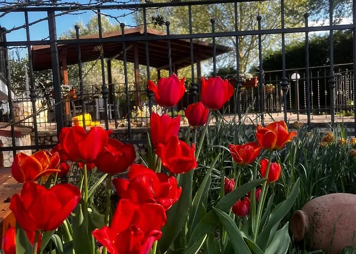 Sole E Luna * Scurcola Marsicana