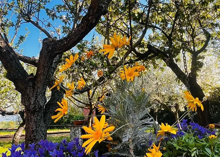 Sole E Luna Bed & Breakfast